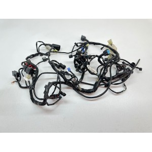 ELEKTRISCHE ANLAGENVERKABELUNG KAWASAKI Z 900 Z900 2020 2021 2022 2023 2