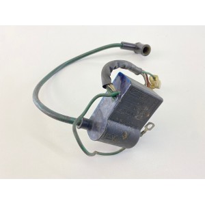 MOTORSTEUERGERÄT SPULE DUCATI ENERGY MALAGUTI F12 1993-2005