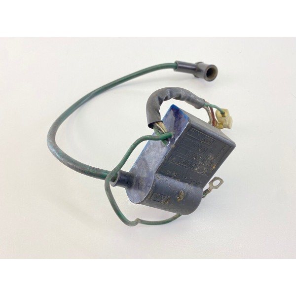 MOTORSTEUERGERÄT SPULE DUCATI ENERGY MALAGUTI F12 1993-2005