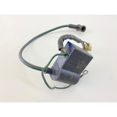 CENTRALINA MOTORE BOBINA DUCATI ENERGIA MALAGUTI F12 1993-2005