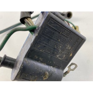 MOTORSTEUERGERÄT SPULE DUCATI ENERGY MALAGUTI F12 1993-2005 2