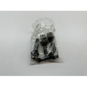 4 VITI PERNI RUOTA POSTERIORE BMW R 850 R R28 R850 R 1999-2000-2007