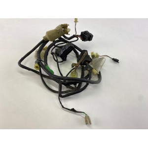 ELECTRICAL WIRING HARNESS HONDA CHIOCCIOLA 125 150 2000-2006