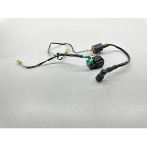 ENGINE CONTROL UNIT COIL PIT BIKE MINI CROSS 125 4T PBS... 2