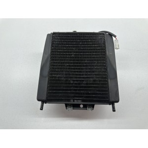RADIADOR CON ELECTROVENTILADOR PIAGGIO MP3 300 HYBRID...