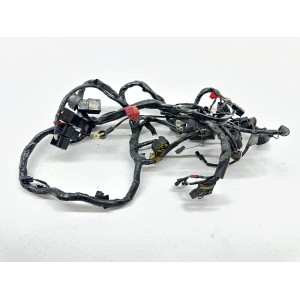 SYSTEME ELECTRIQUE CABALAGE TRIUMPH SPRINT RS 955 i...