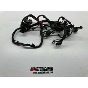 SYSTEME ELECTRIQUE CABALAGE TRIUMPH SPRINT RS 955 i... 2