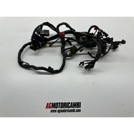 ELECTRICAL SYSTEM CABALAGE TRIUMPH SPRINT RS 955 i 1998-2004