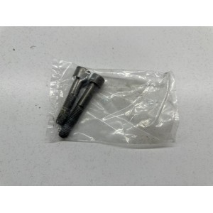 COPPIA VITI PERNI AMMORTIZZATORE POSTERIORE BMW R1200 R...