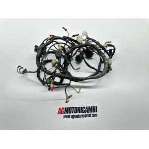 IMPIANTO ELETTRICO CABALAGGIO KAWASAKI ZZR 600 1990-2000...