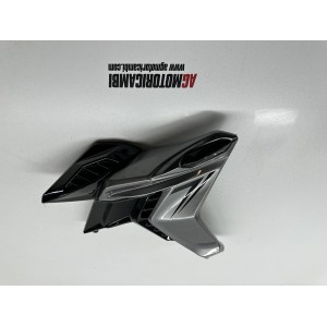 CARENADO FRONTAL PANEL LATERAL DERECHO SENKE SK 125 SK125... 2