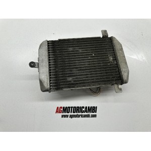 RADIATORE SUZUKI BURGMAN 250 204-2005 J429