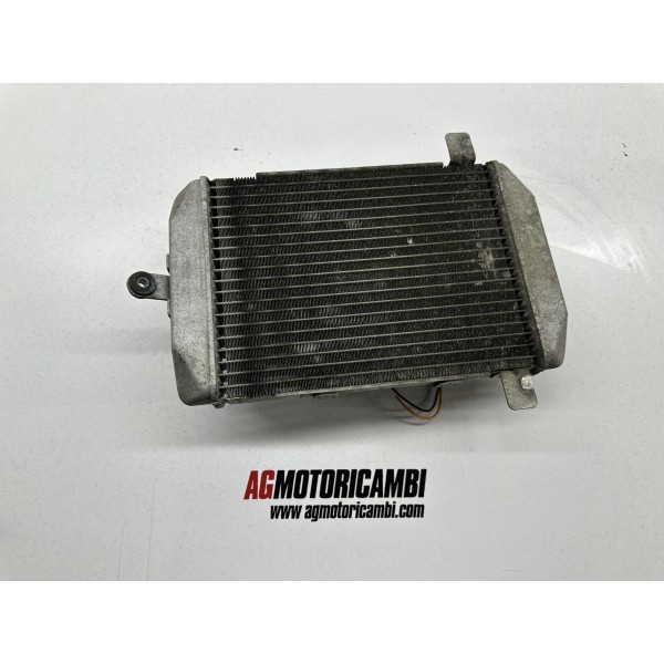 RADIATORE SUZUKI BURGMAN 250 204-2005 J429