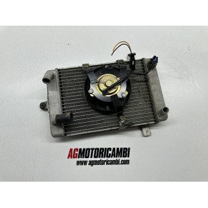 RADIATORE SUZUKI BURGMAN 250 204-2005 J429 2