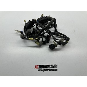 ELEKTRISCHER KABELBAUM YAMAHA TDM 850 1996-2002 4TX