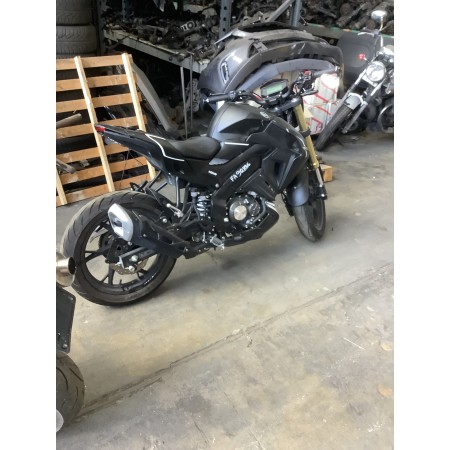 STOSSDÄMPFER HINTERE AUFHÄNGUNG KEEWAY RKF 125 4T E5 2021-2024