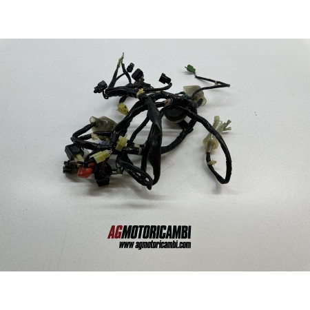 ELEKTRISCHE ANLAGE VERKABELUNG HONDA PCX 125 2009-2013