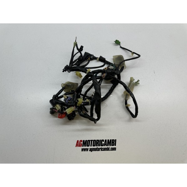 ELECTRICAL SYSTEM WIRING HONDA PCX 125 2009-2013