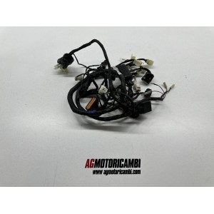 IMPIANTO ELETTRICO CABALGGIO KEEWAY RKV 125 4T 2018-2020