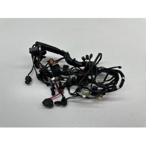 ELECTRICAL SYSTEM WIRING TRIUMPH STREET TRIPLE 660 S... 2