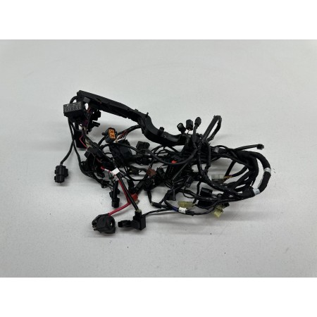SYSTEME ELECTRIQUE TRIUMPH STREET TRIPLE 660 S 2020-2024