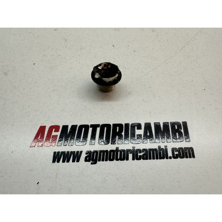 ÉCROU SUPÉRIEUR PLAQUE DE FOURCHE KTM SUPER DUKE 1290 GT 2019