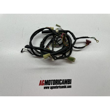 IMPIANTO ELETTRICO SEZINATO ROTTO HONDA CN 250 SPAZIO HELIX 1991-2001