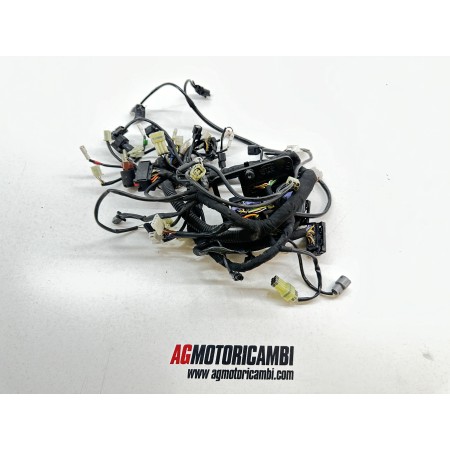 ELECTRICAL SYSTEM WIRING HUSQVARNA 701 SUPERMOTO 2017-2019