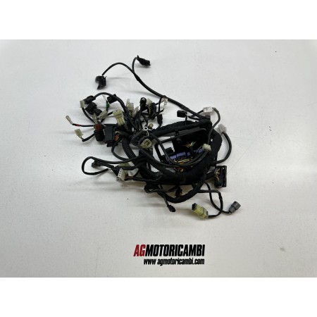 ELECTRICAL SYSTEM WIRING HUSQVARNA 701 SUPERMOTO 2017-2019