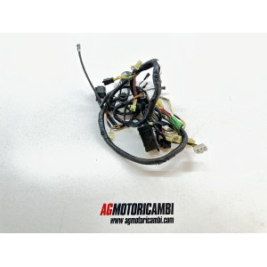 IMPIANTO ELETTRICO CABALGGIO SUZUKI FREEWIND 650 1997-2003