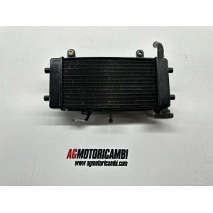 RADIATORE HYOSUNG GD 250 N EXIV