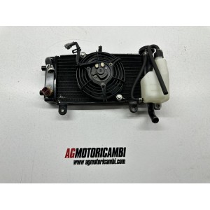 RADIATORE HYOSUNG GD 250 N EXIV 2