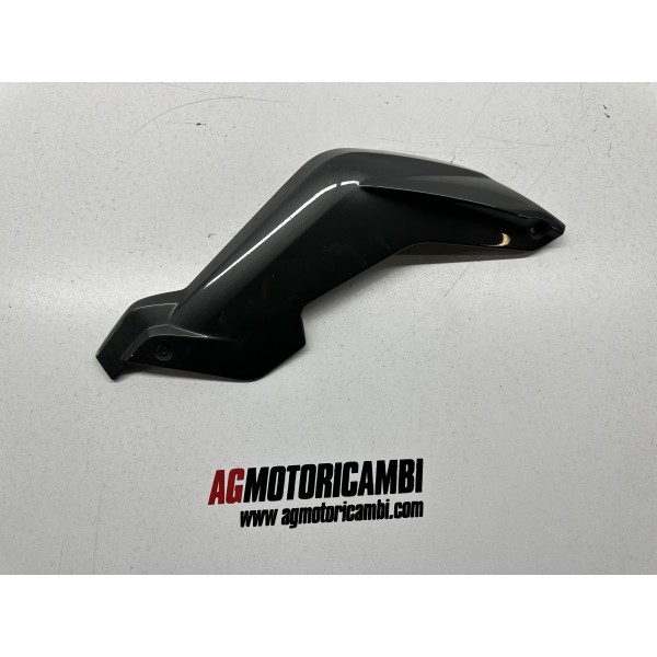 CARENA COVER FORCELLASX BMW K 1300 R K1300R...