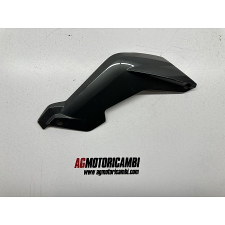 VERKLEIDUNG ABDECKUNG SWINGARMASX BMW K 1300 R K1300R 2009-2016