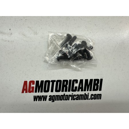 BREMSSCHEIBENSCHRAUBEN VORNE KTM SUPER DUKE 1290 GT 2019