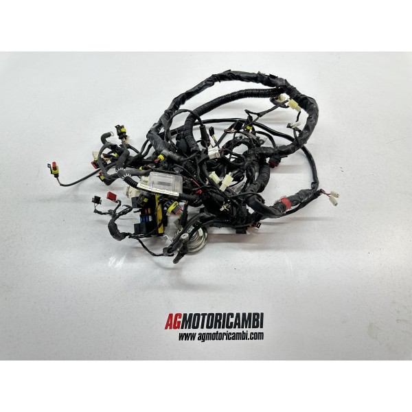 MAZO DE CABLES ELÉCTRICO PIAVERLY BEVERLY 300 S...