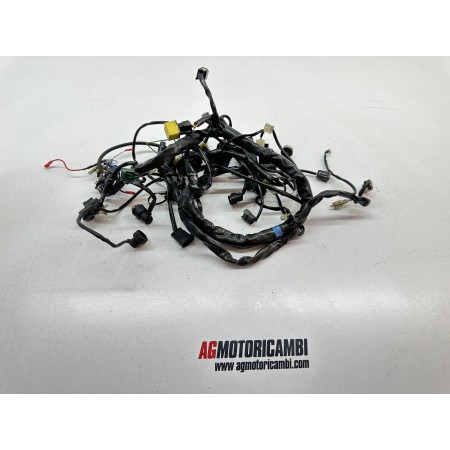 IMPIANTO ELETTRICO CABLAGGIO CAGIVA RAPTOR 1000 2000-2005