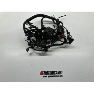 ELEKTRISCHE ANLAGE VERDRAHTUNG TRIUMPH TIGER 800 XC...