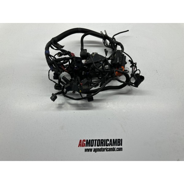 IMPIANTO ELETTRICO CABLAGGIO TRIUMPH TIGER 800...