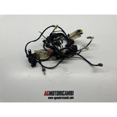 ELEKTRISCHE ANLAGE VERKABELUNG HONDA CBF 600 2004-2006 PC38A
