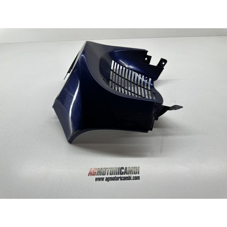 KÜHLERGRILL KÜHLERGRILLSPITZE SUZUKI BURGMAN AN 400 1999-2001