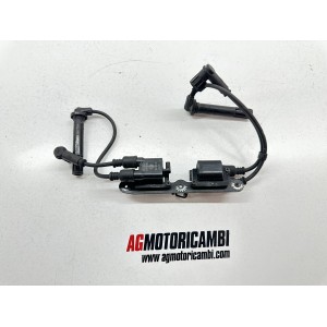 COPPIA BOBINE D'ACCENSIONE DUCATI MONSTER 1200 S 2014-2016