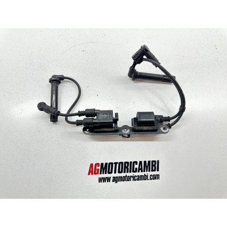 COPPIA BOBINE D'ACCENSIONE DUCATI MONSTER 1200 S 2014-2016