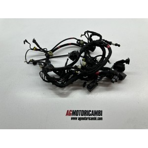IMPIANTO ELETTRICO CABLAGGIO DUCATI MONSTER 1200 S 2014-2016