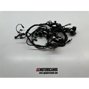 IMPIANTO ELETTRICO CABLAGGIO DUCATI MONSTER 1200 S 2014-2016 2