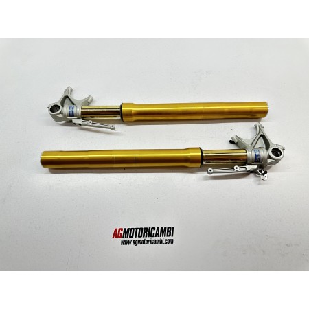 PAAR OHLINS GABELSTANDROHRE DUCATI MONSTER 1200 S 2014-2016
