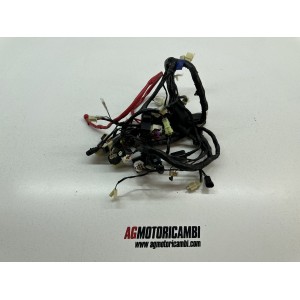 ELECTRICAL SYSTEM WIRING HARNESS HEADLIGHT ECUS BENELLI...