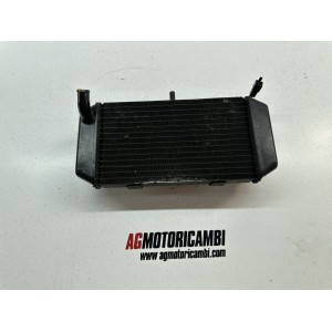 RADIATEUR YAMAHA MAJESTY 400 YP 400 2004-2008 2