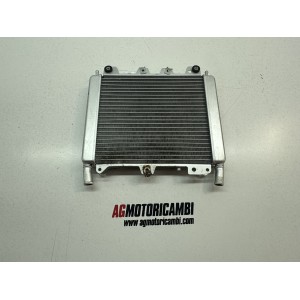 RADIATOR GILERA NEXUS 300 2007-2014 APRILIA SR MAX 300...