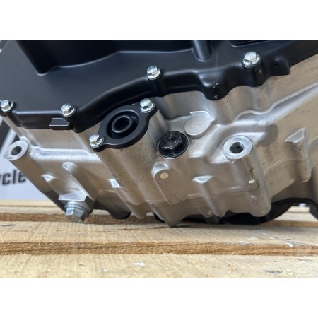 MOTORBLOCK FANTIC CABALLERO 500 4T ZS194MQ-P 2018-2025